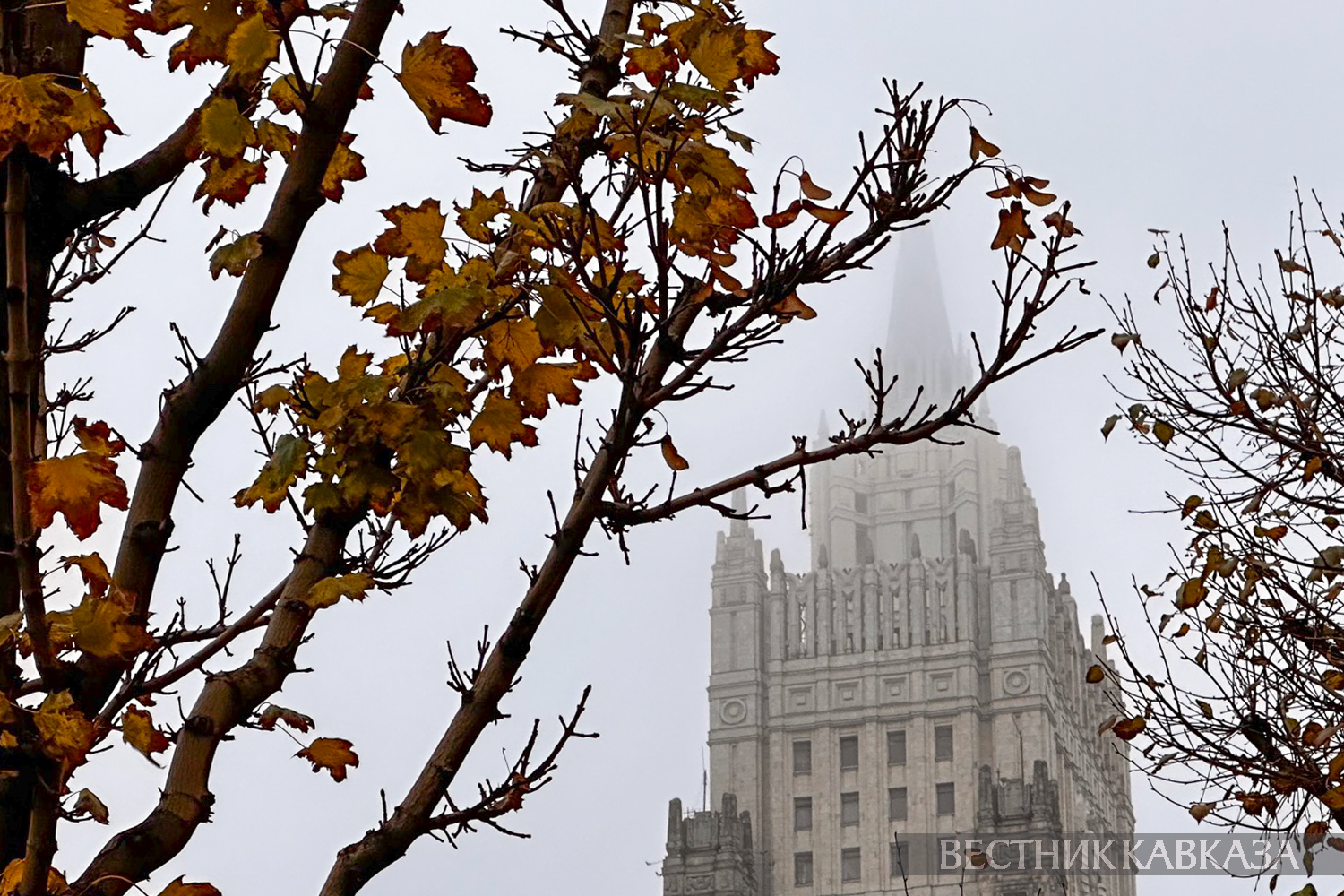 ����: vestikavkaza.ru