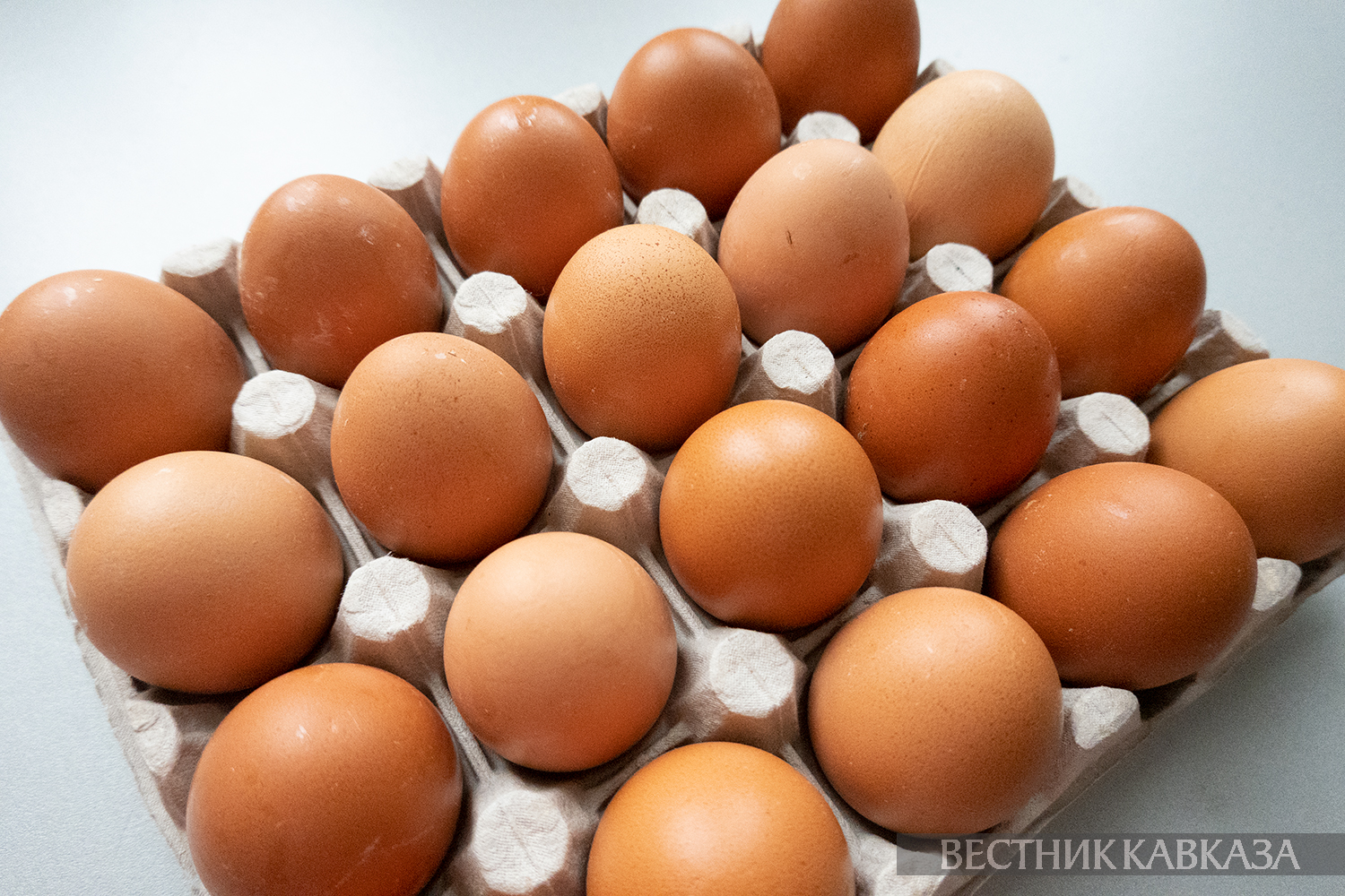 ����: vestikavkaza.ru