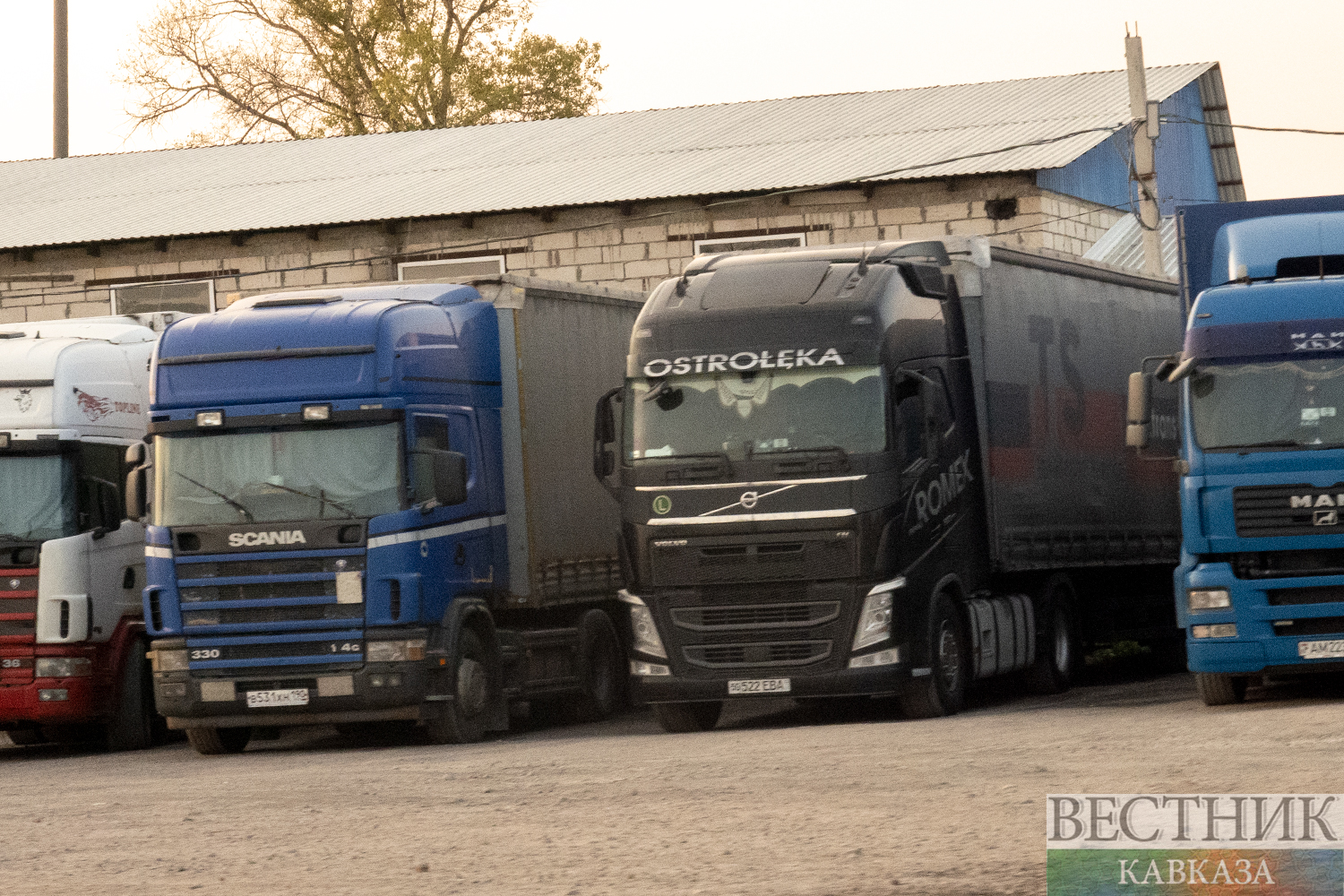 ����: vestikavkaza.ru