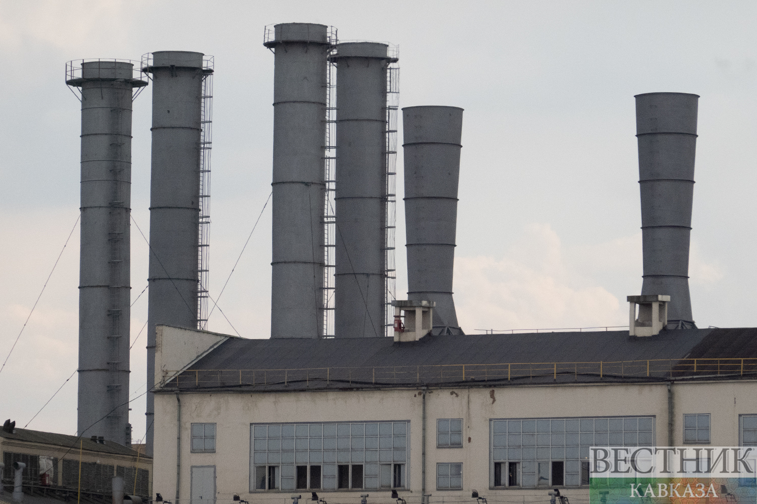 ����: vestikavkaza.ru