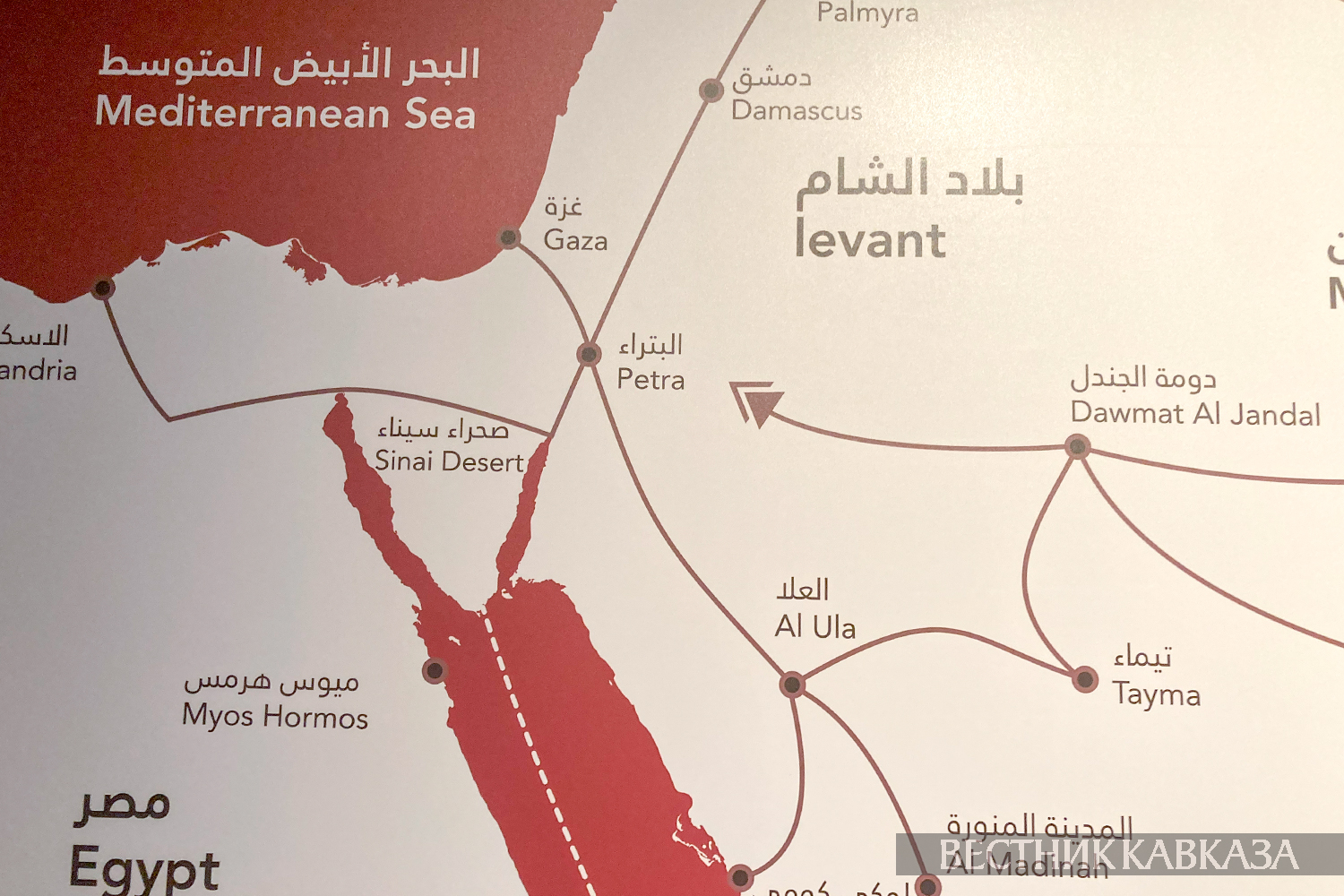 ����: vestikavkaza.ru