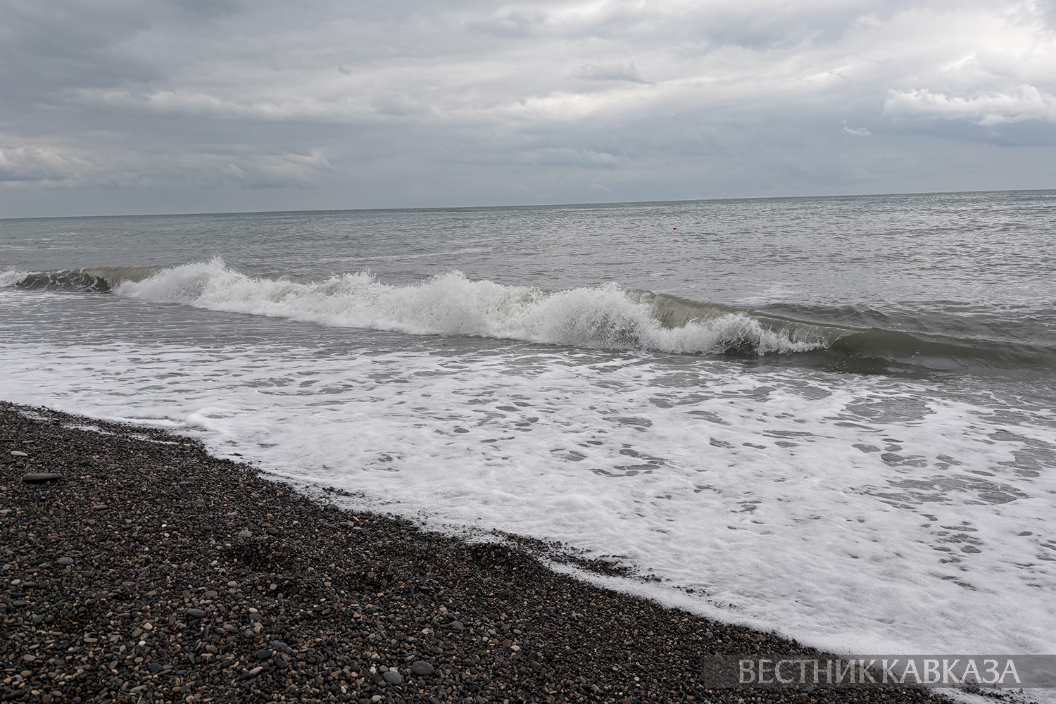 ����: vestikavkaza.ru