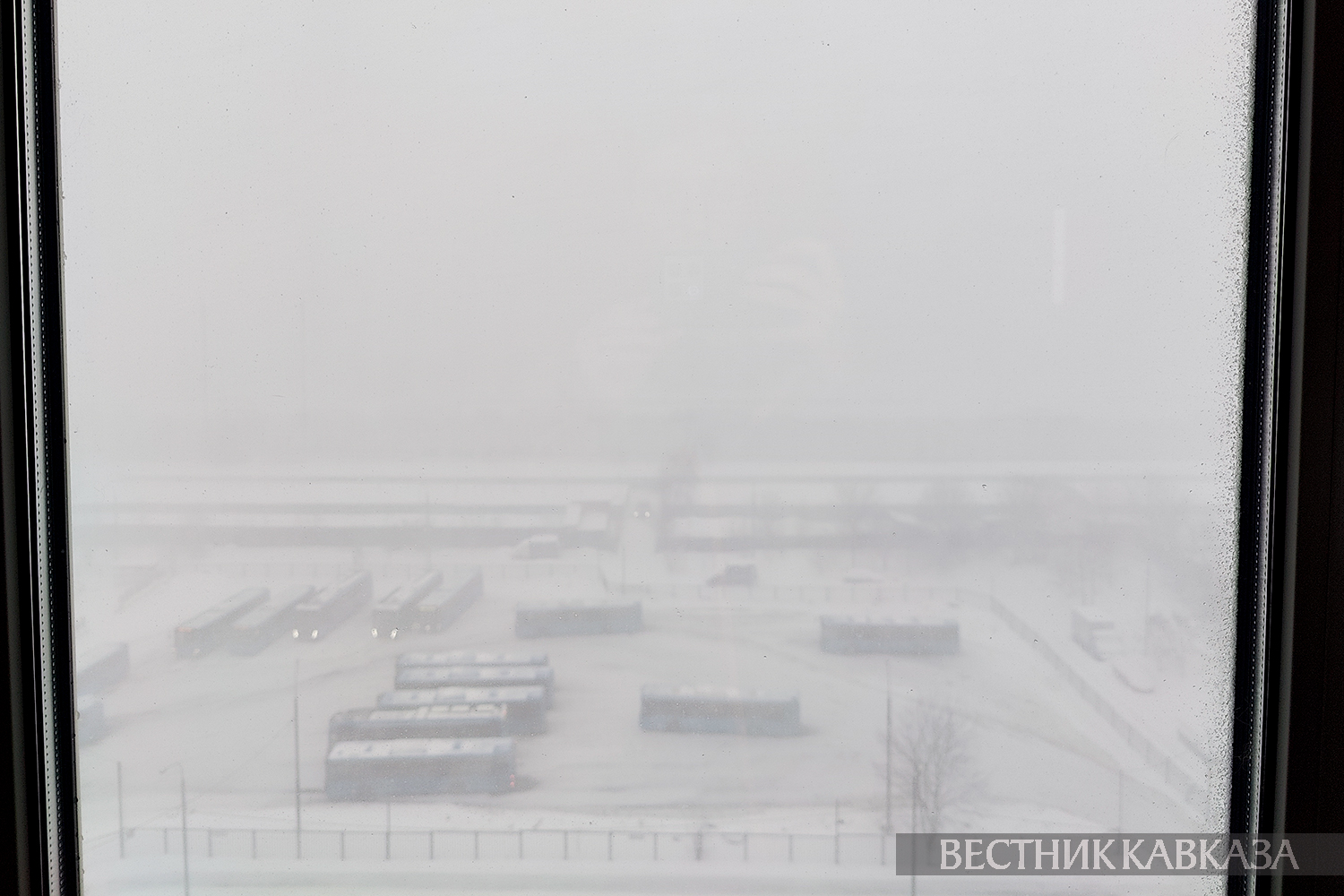  ���������� �������� ����� ������ ������� �������� 