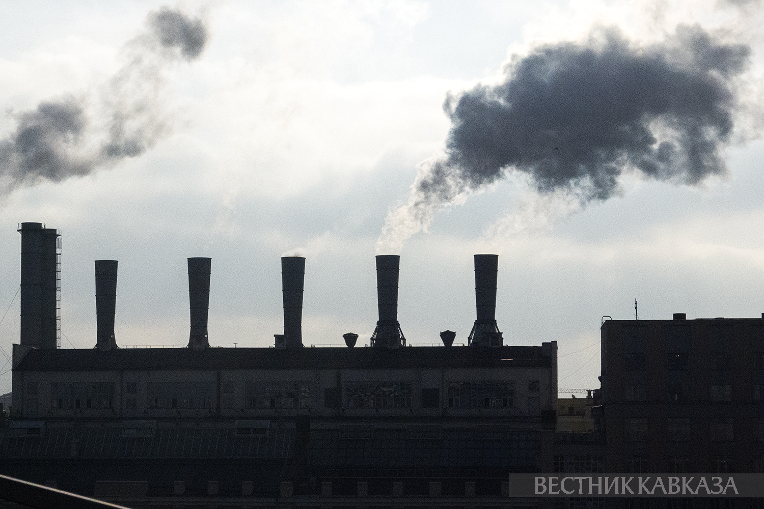 ����: vestikavkaza.ru