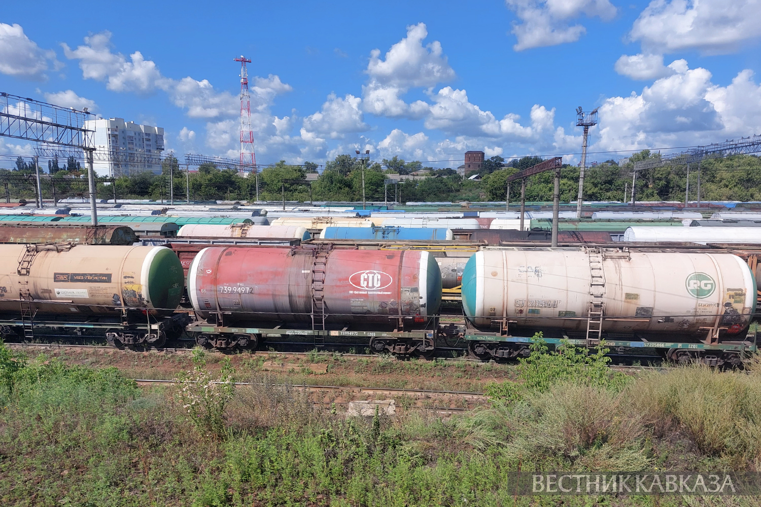 ����: vestikavkaza.ru