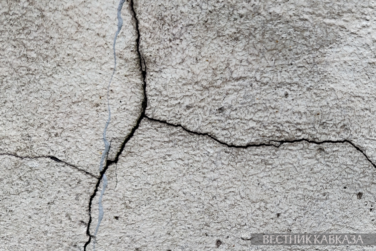 ����: vestikavkaza.ru