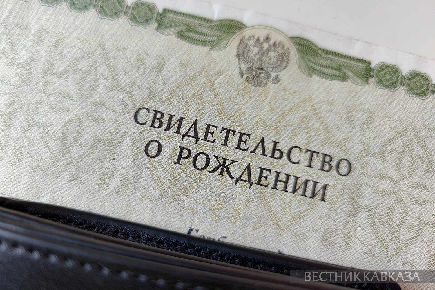 ����: vestikavkaza.ru