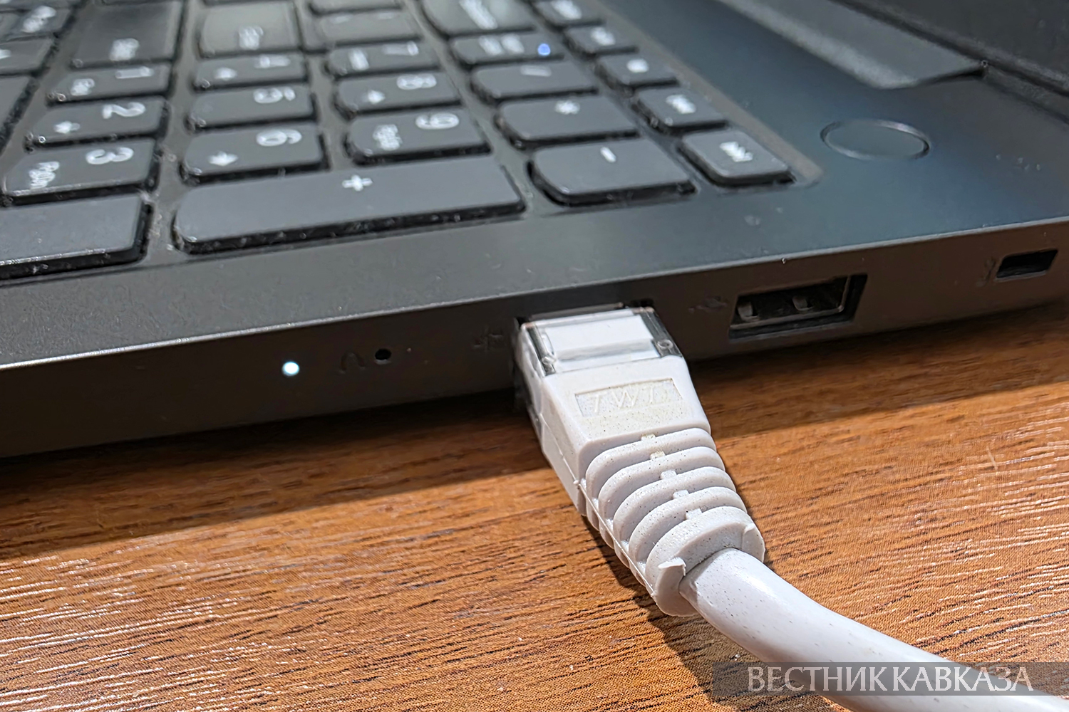 ����: vestikavkaza.ru