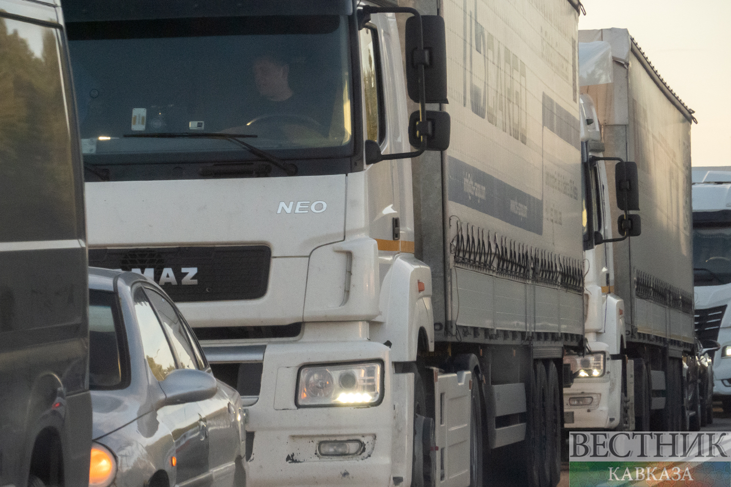 ����: vestikavkaza.ru