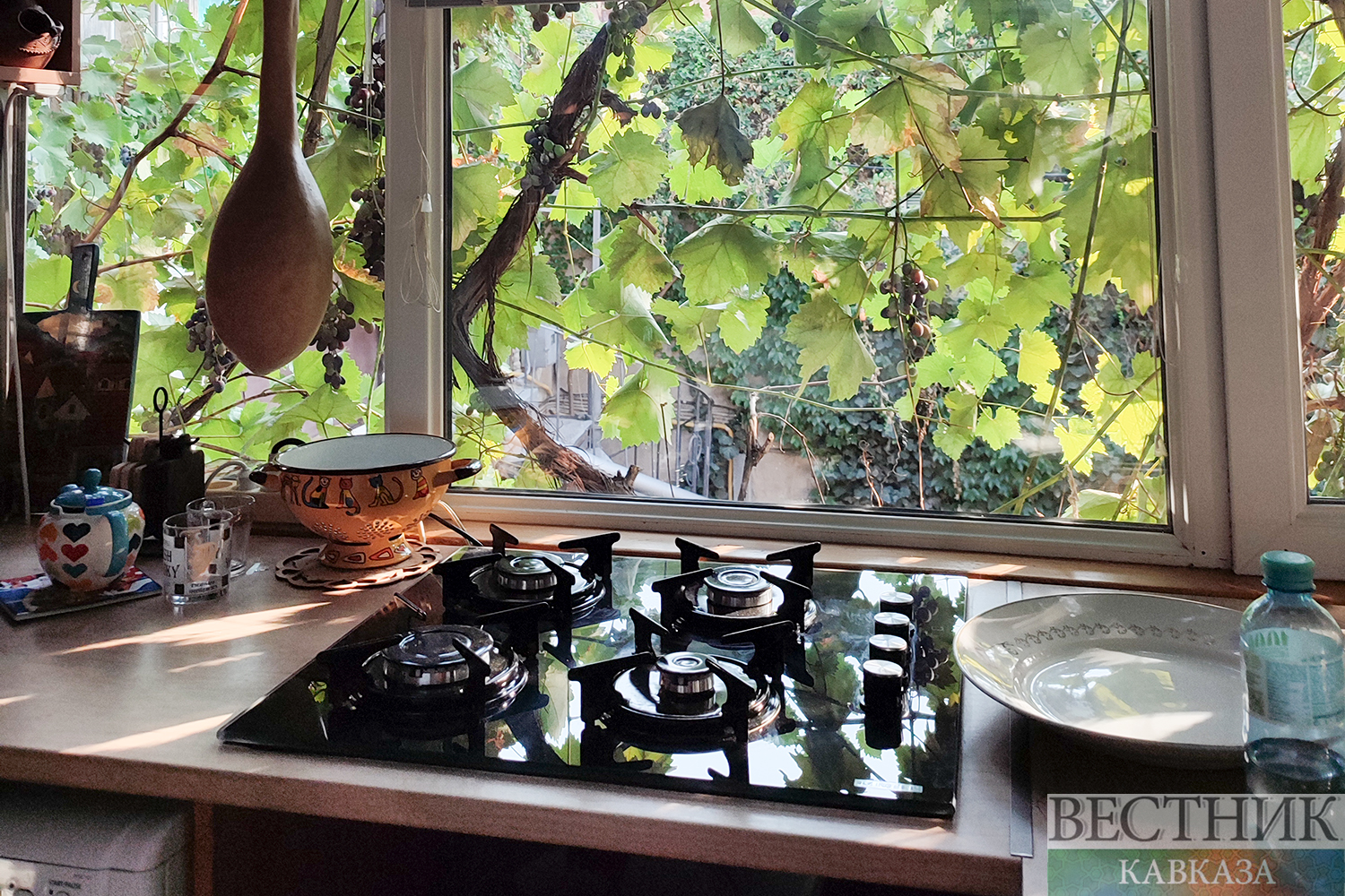 ����: vestikavkaza.ru