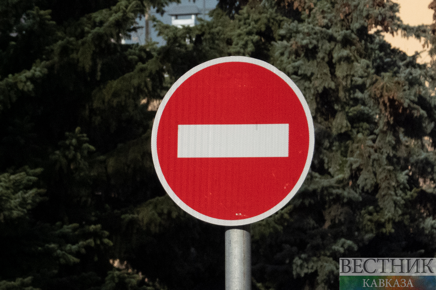 ����: vestikavkaza.ru