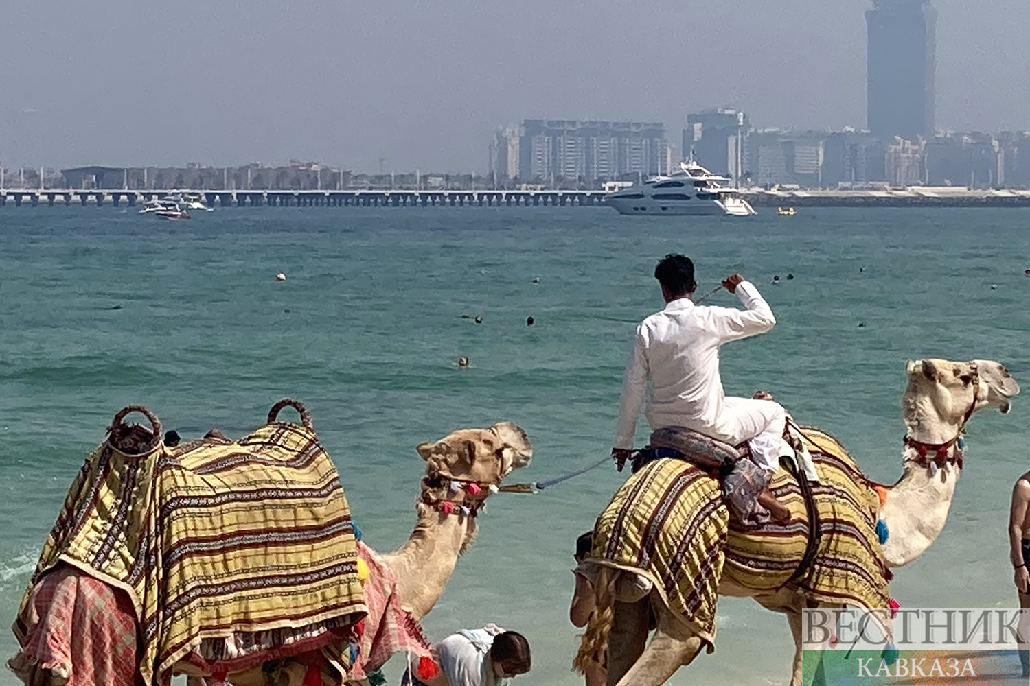 ����: vestikavkaza.ru