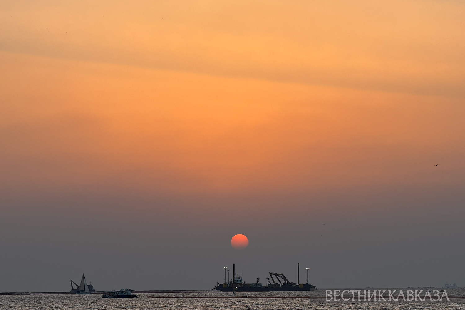 ����: vestikavkaza.ru