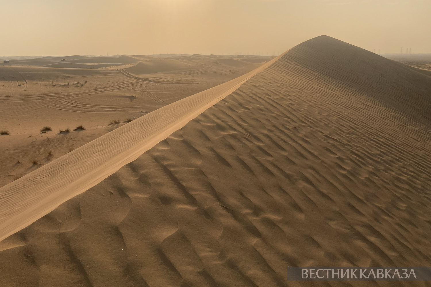 ����: vestikavkaza.ru