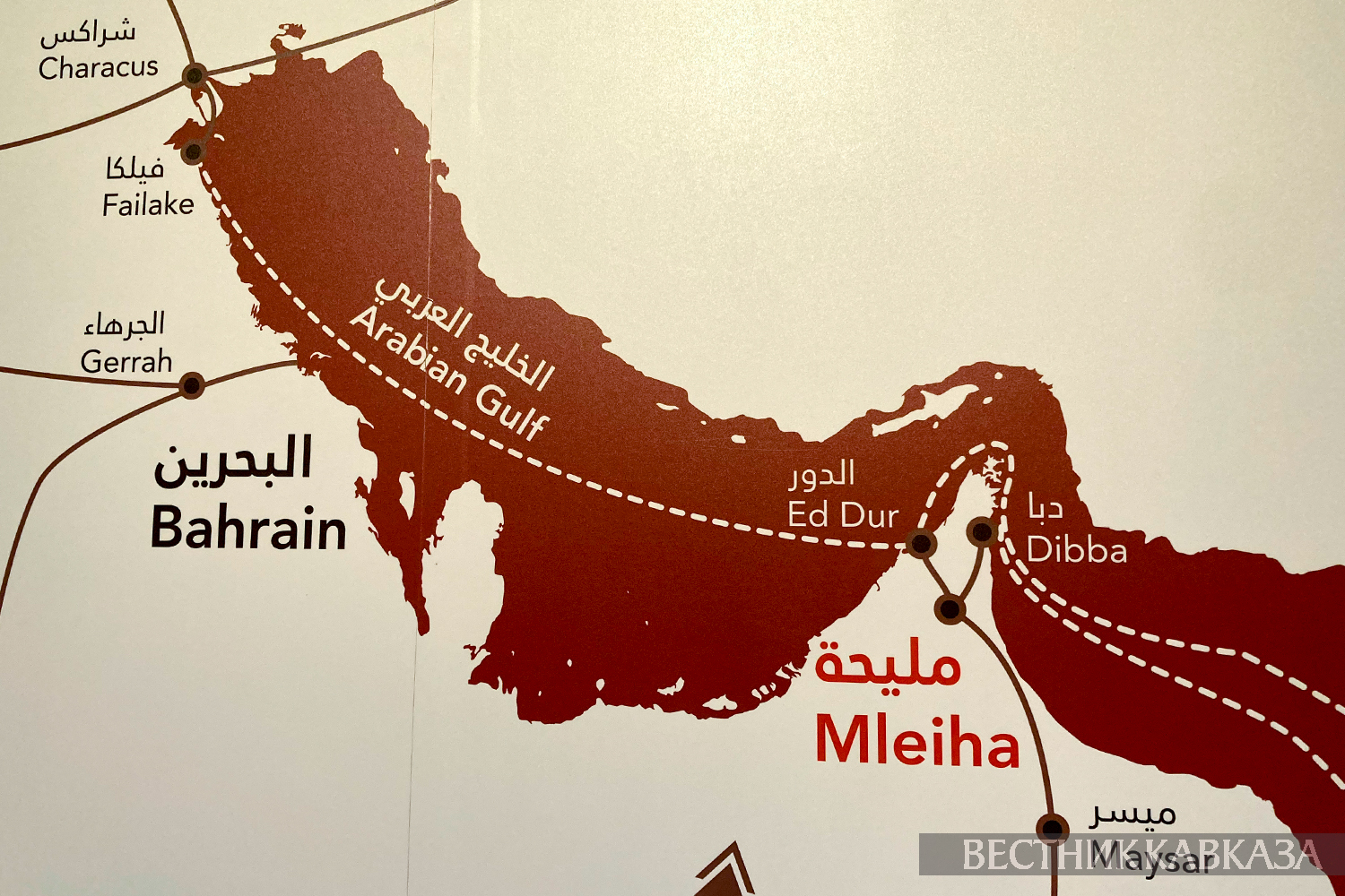 ����: vestikavkaza.ru