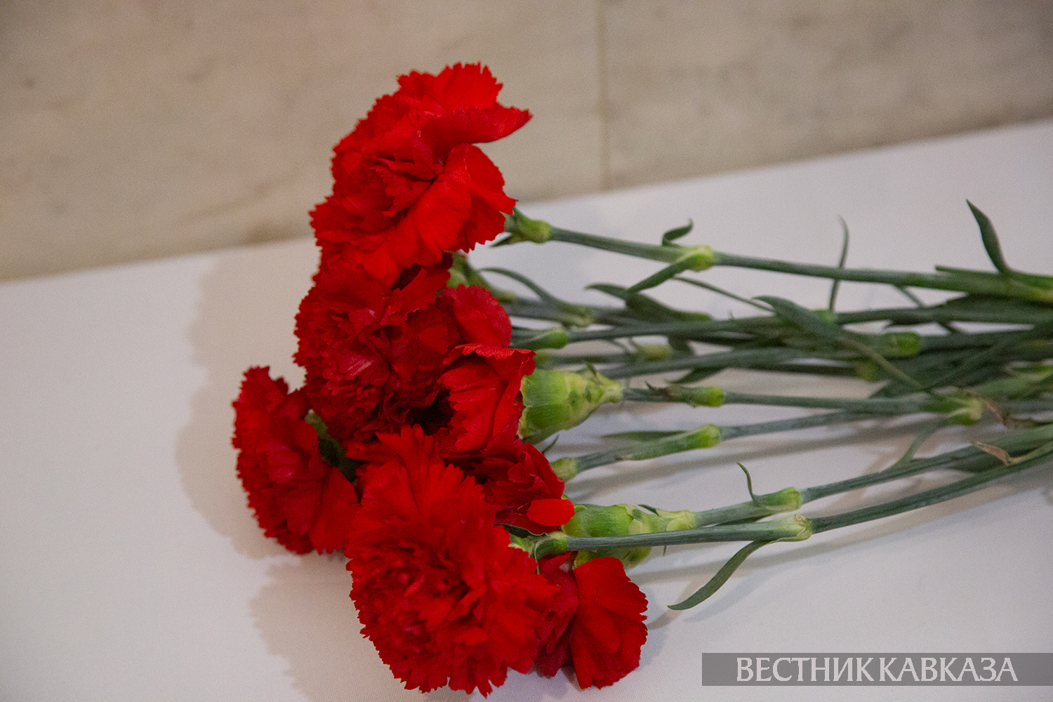 ����: vestikavkaza.ru