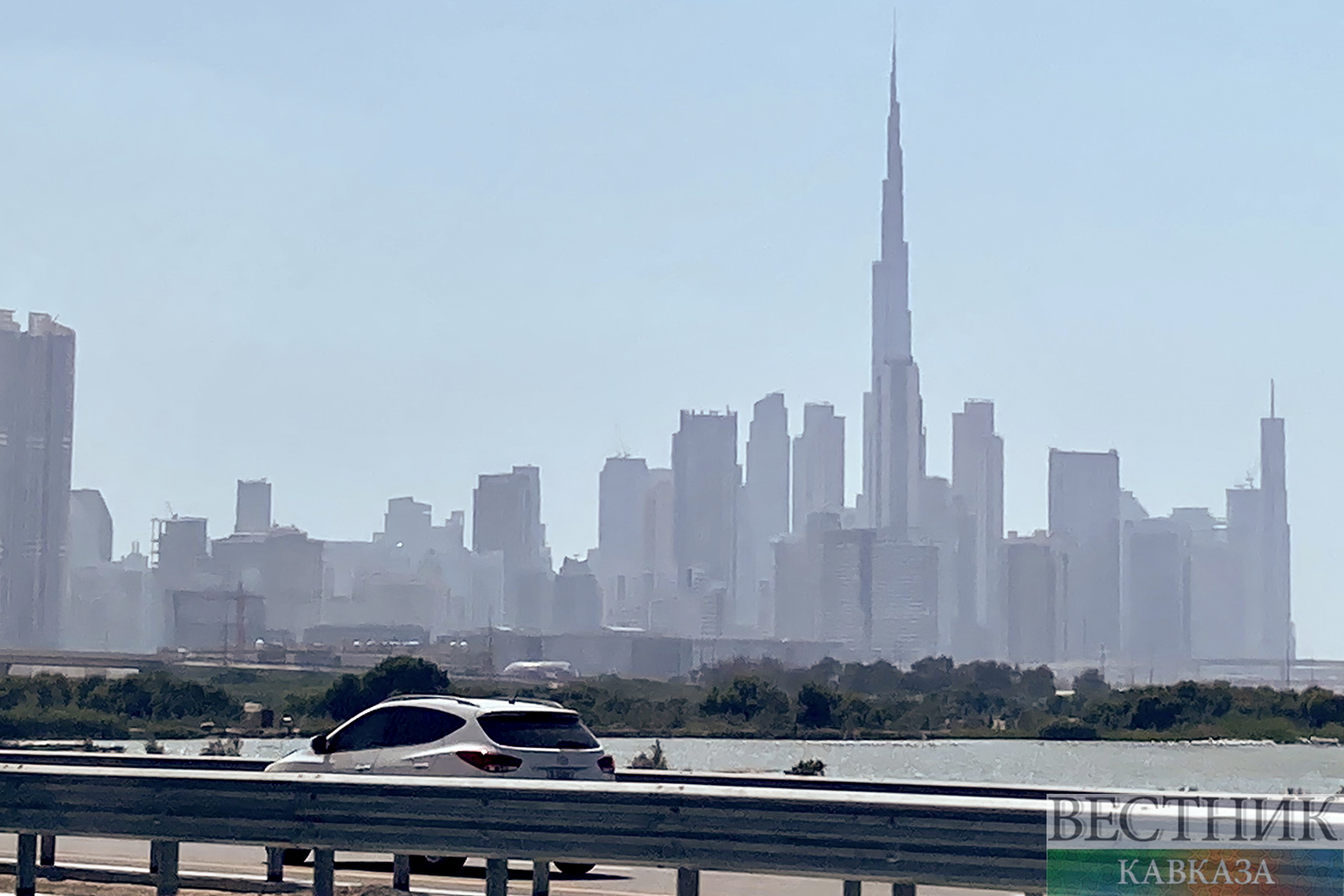 Фото: vestikavkaza.ru