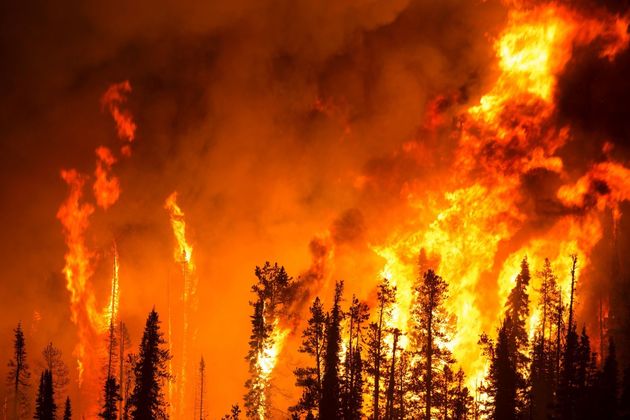В Казахстане горит Баянаульский нацпарк 