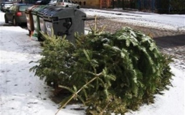 Власти Кабардино-Балкарии впервые утилизируют новогодние елки