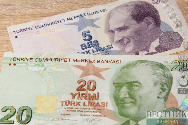 Турецкая лира обвалилась из-за возможной отставки Ахмета Давутоглу