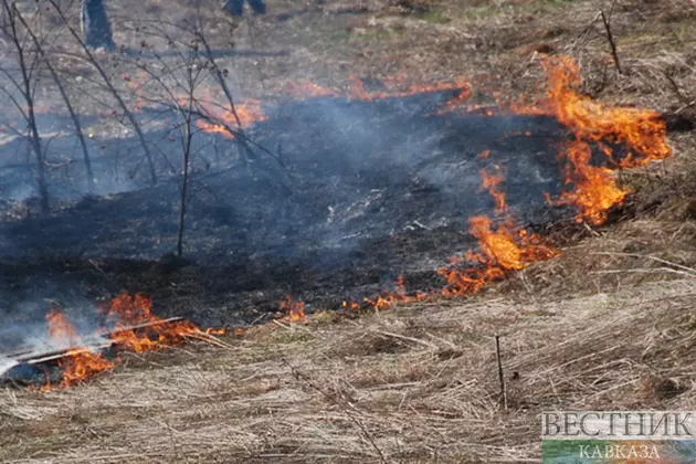 На Северный Кавказ надвигается волна природных пожаров