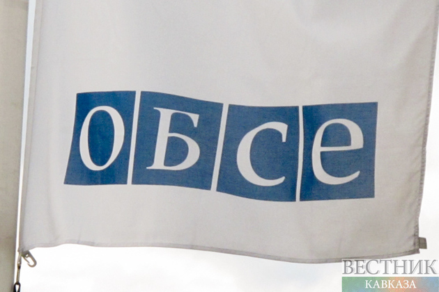 Минская группа ОБСЕ желает доступа к сбитому вертолету