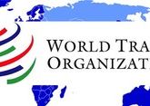 Будущее ВТО под вопросом?
