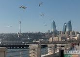 Трудовая миграция из Турции в Азербайджан сократилась 