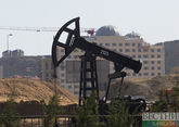 Казахстан планирует начать наращивание нефтедобычи в рамках ОПЕК+