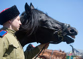 В Дагестане появится конный театр