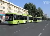 Ташкентские автобусы завтра выйдут на линии в четыре утра