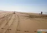 Спортсмены высадят деревья на Аральском море в рамках Aral Sea Eco Race