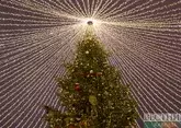 Поджигателей новогодней елки наказали в Буйнакске