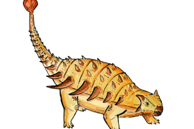 Петербургские палеонтологи узнали, как динозавры остужали мозги