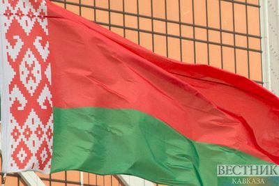 Депутаты Госдумы понаблюдают за выборами белорусского президента 