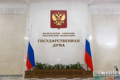 В Госдуме оценили предложение ввести санкции против России за Беларусь