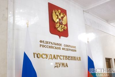 В Госдуме оценили идею Минфина о сокращении ВС России