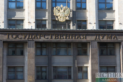 Госдума ратифицировала договоры с ЛНР и ДНР