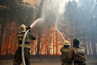 Лесные пожары: как спастись и как тушить?