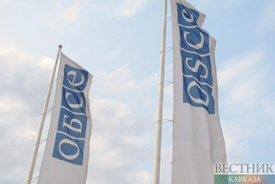 Мониторинг ОБСЕ у Тертера окончился без инцидентов