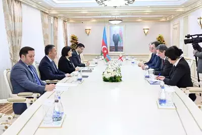 Баку и Тбилиси нацелились на укрепление межпарламентских связей