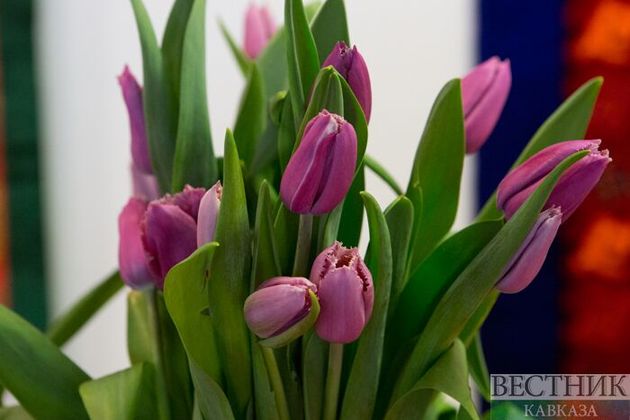 Россиянки назвали лучшие цветы на 8 Марта
