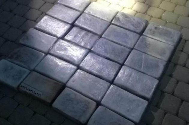 Правоохранители "накрыли" в порту Санкт-Петербурга крупную партию кокаина