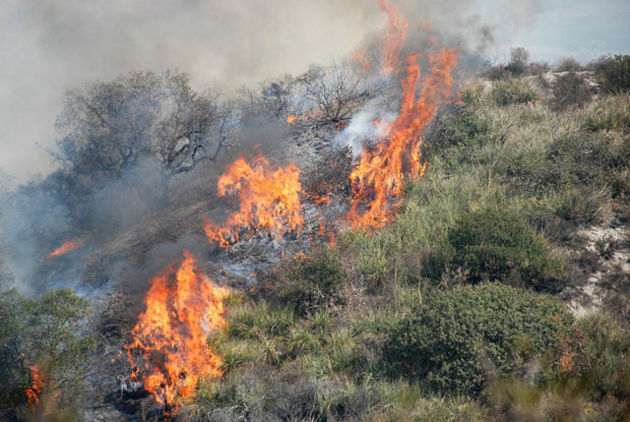 Лесные пожары захватывают новые территории на Кубани 