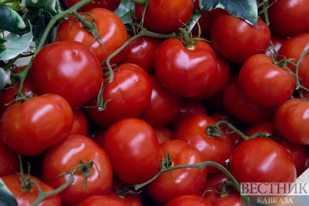Россия снова разрешила ввоз томатов и перца из трех регионов Узбекистана