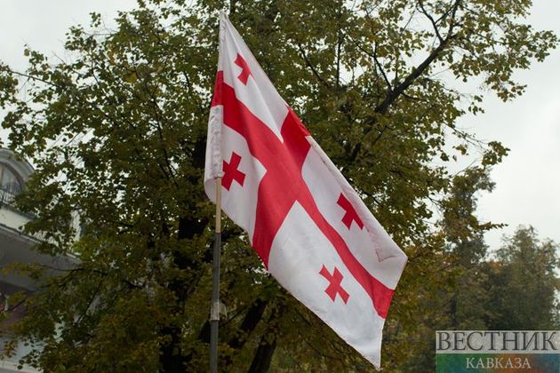 Государственные флаги могут появиться на детсадах и школах в Грузии
