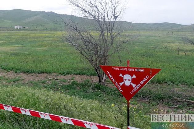 Житель Гейгельского района погиб, подорвавшись на мине