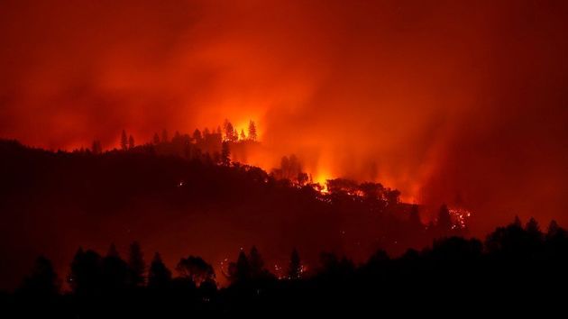 На Кипре из-за природных пожаров эвакуируют жителей