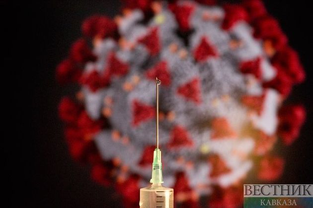 В России подтвердились еще 20,3 тыс случаев коронавируса