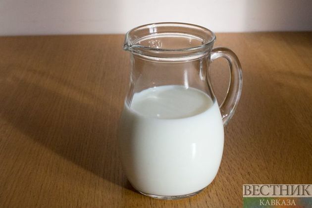 На Кубани будут производить в два раза больше молока